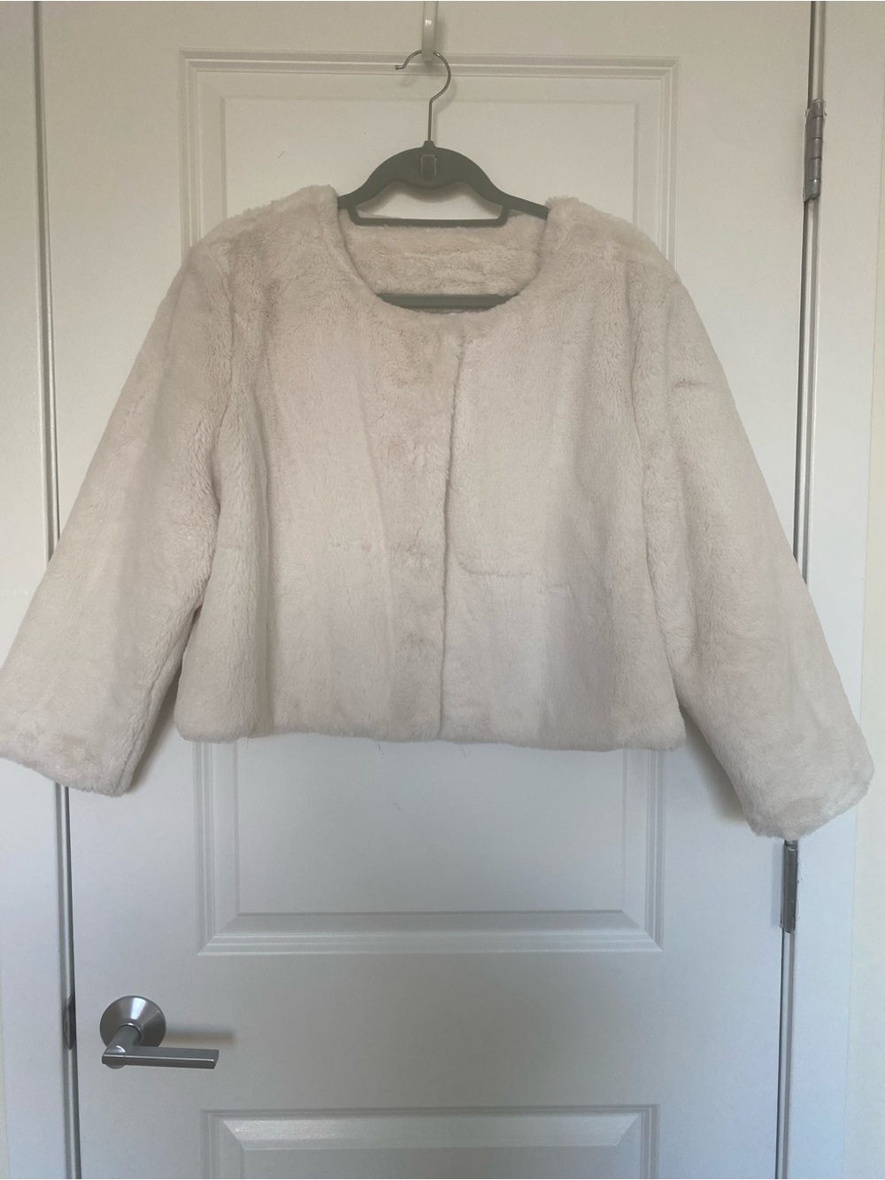 Adrianna Papell Plush Faux Fur Jacket in Cream